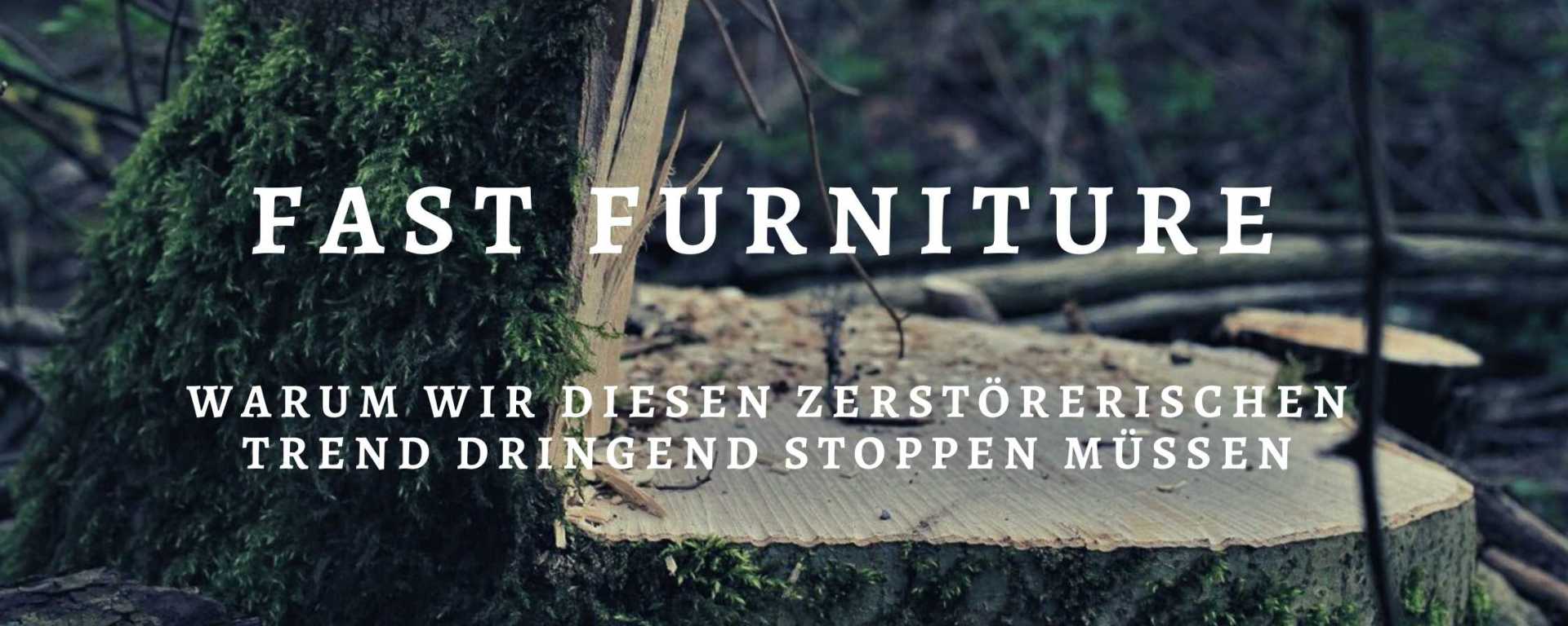 Titel Fast Furniture vor dem Hintergrund eines Baumstumpfs.